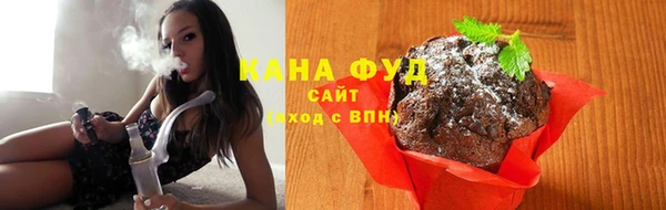 хмурый Арсеньев