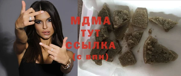 хмурый Арсеньев