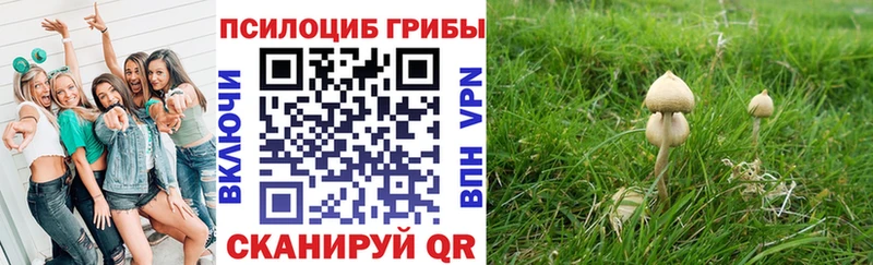 KRAKEN зеркало Кувандык Псилоцибиновые грибы прущие грибы